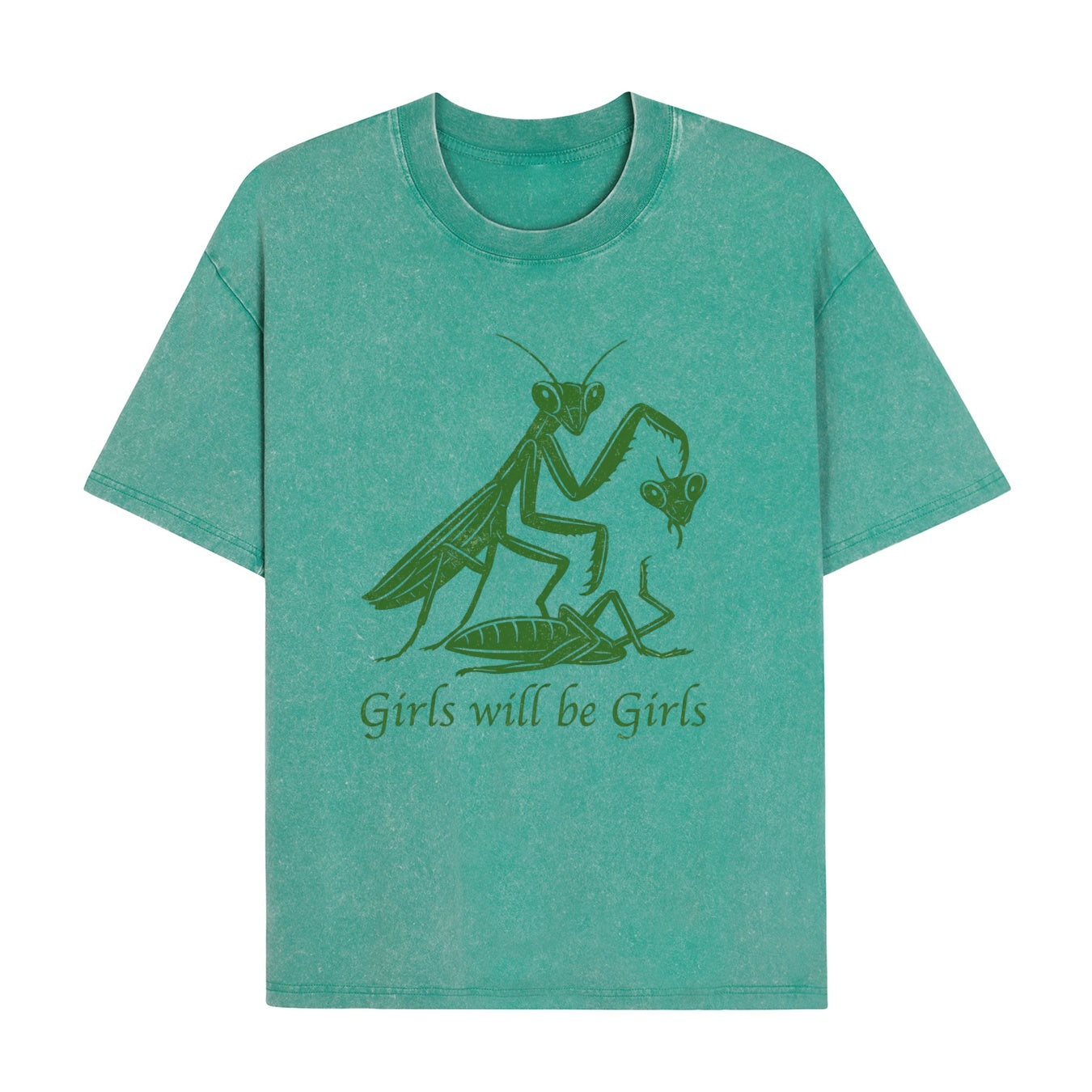 Boldoodle Funny Praying Mantis Feminist Tee Wash Shirt PT469