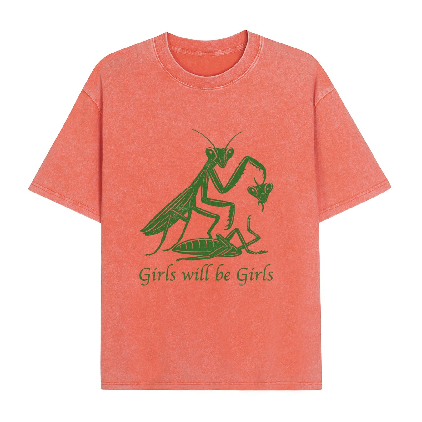 Boldoodle Funny Praying Mantis Feminist Tee Wash Shirt PT469