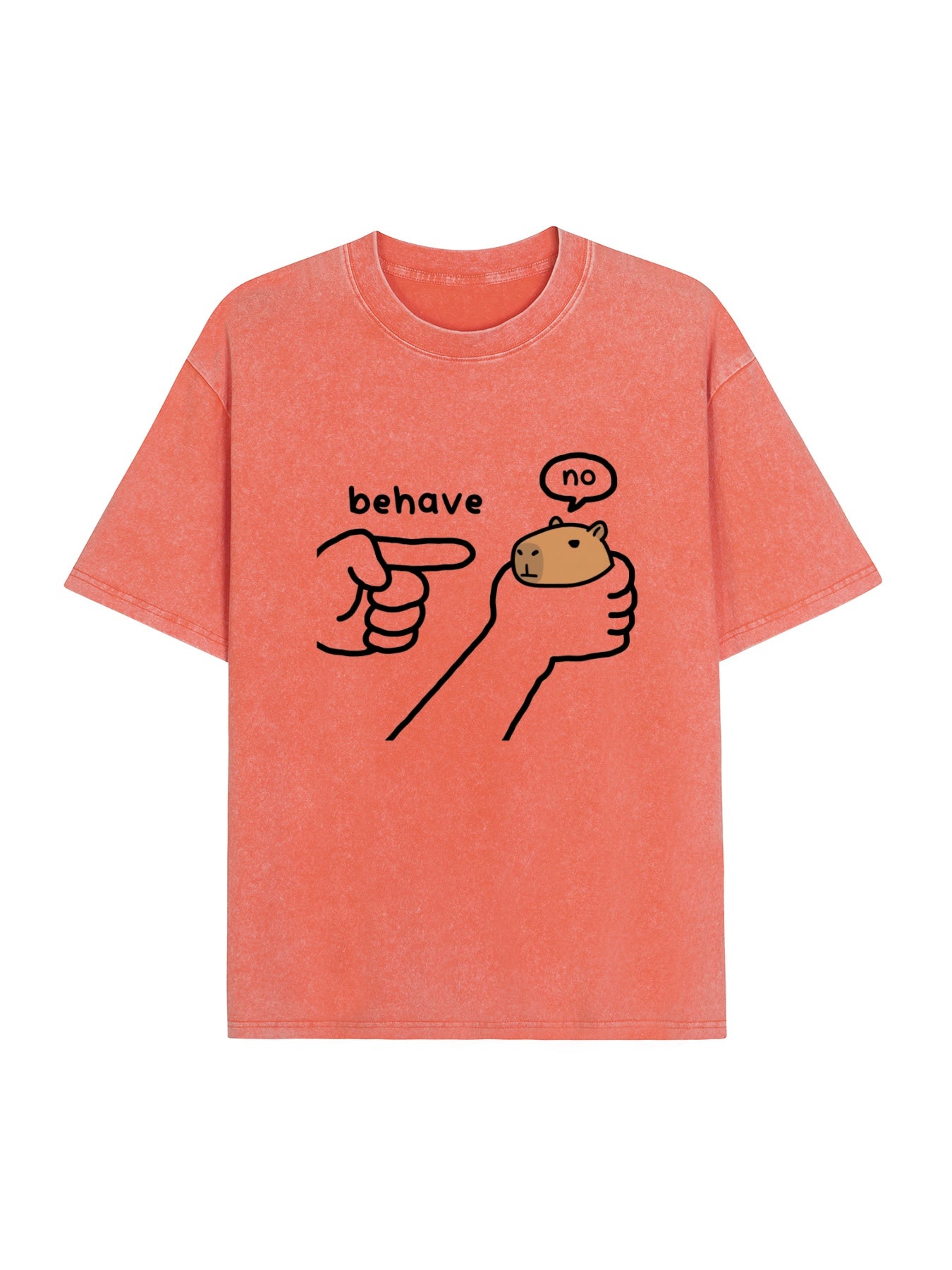 Dishonest Capybara Washed T-Shirt PT451