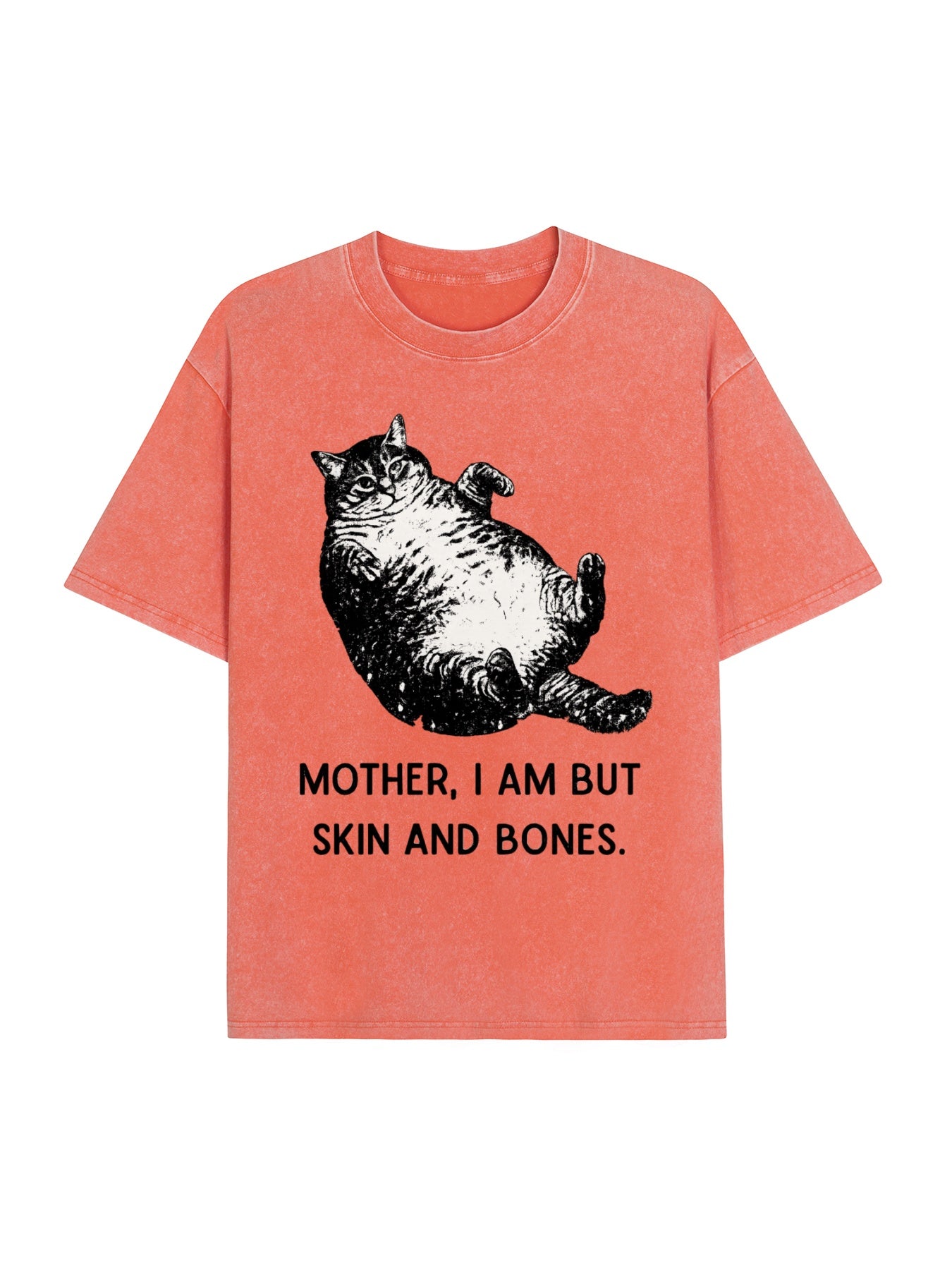 Overweight Cat And Its Doting Owner Washed T-Shirt  PT455