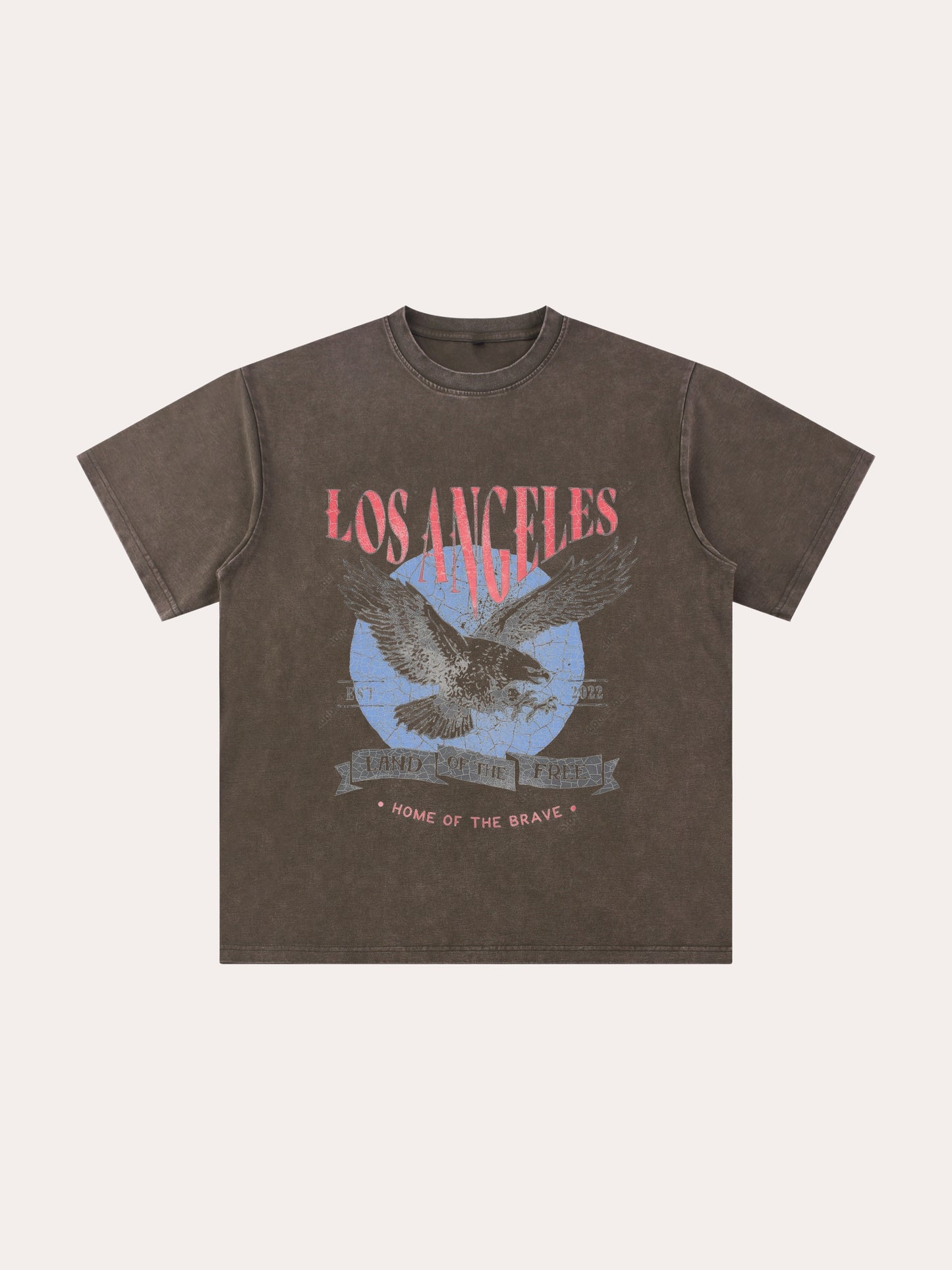 Vintage Distressed Los Angeles Washed T-shirt